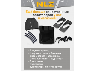 Защита картера для BAW Tonik 2010-н.в. 1.3 MT бензин NLZ сталь с крепежом / Баф Тоник