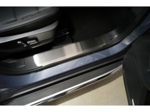 Накладки на пластиковые пороги (лист шлифованный) 2шт для Haval Dargo 2.0 2022 – н.в. HAVDAR22-04